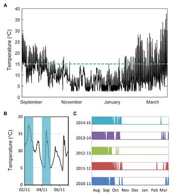 Feeling Every Bit of Winter – Distributed Temperature Sensitivity in Vernalization